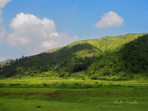 A photo of a sun-kissed hill and a green meadow, basking in beautiful patterns of light and shade, as clouds race across a blue sky. Prints available now!